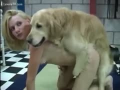 A white dog and a blond